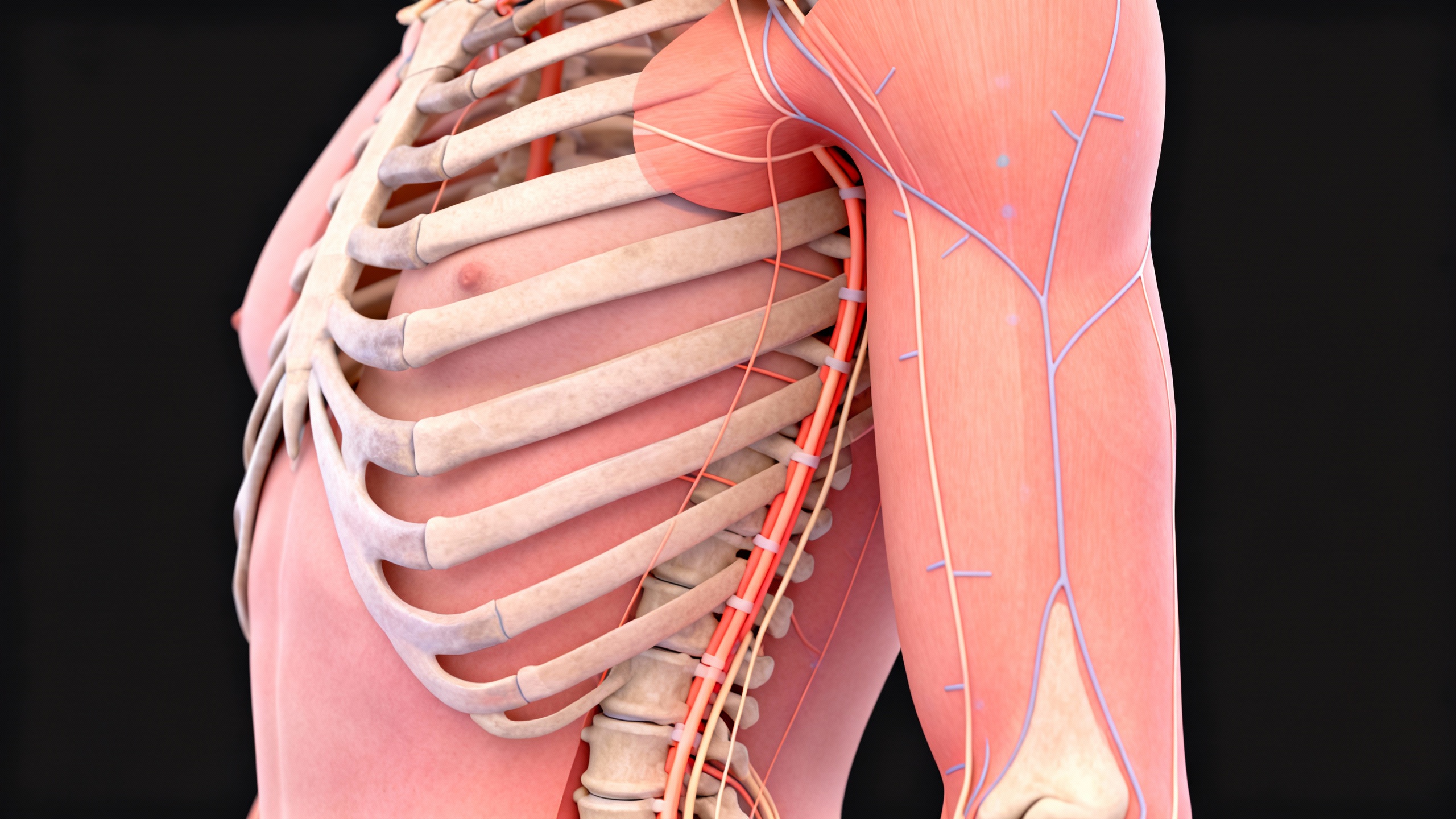 Featured image for What Can Be Mistaken for Shingles?
